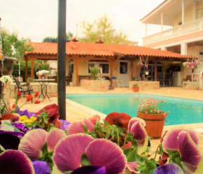 Отель Jacuzzi Pool House  Халкида